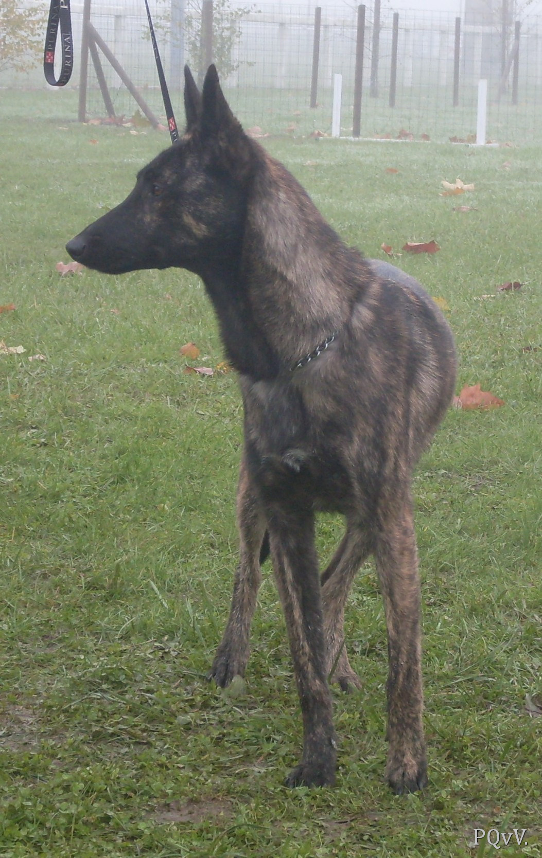  Gyn de la Cité des Maraudeurs